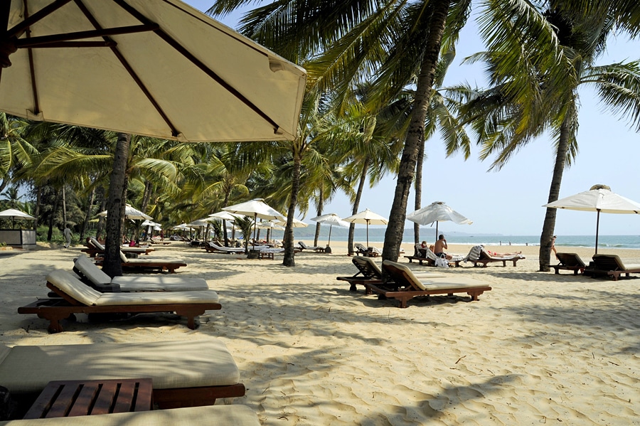 Sun, Sand & Endless Shores