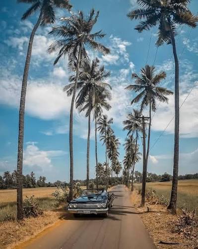 Goa